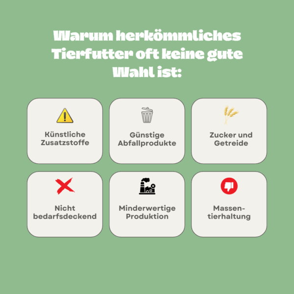 Warum herkömmliches Tierfutter oft keine gute Wahl ist Warum herkömmliches Tierfutter oft keine gute Wahl ist